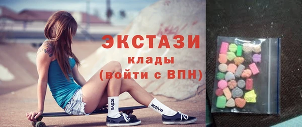 амф Ельня