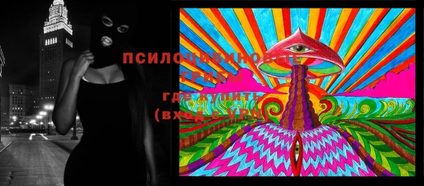 дживик Дмитров