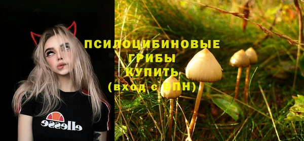 амфетамин Бикин