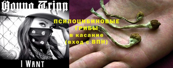 дживик Дмитров